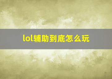 lol辅助到底怎么玩