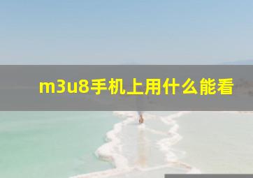 m3u8手机上用什么能看