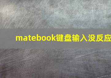 matebook键盘输入没反应