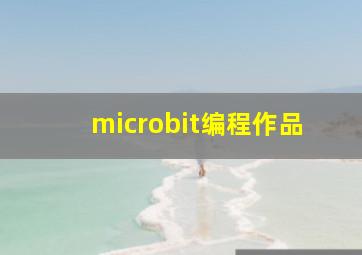 microbit编程作品