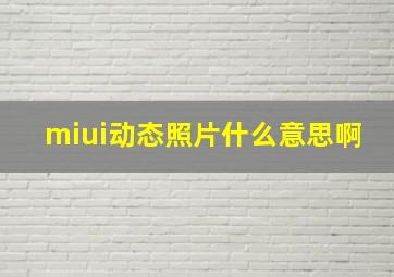 miui动态照片什么意思啊