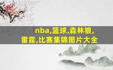 nba,篮球,森林狼,雷霆,比赛集锦图片大全