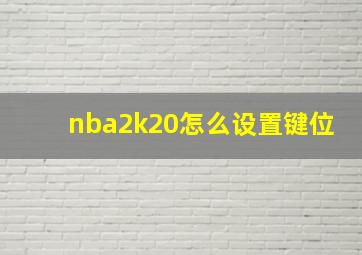 nba2k20怎么设置键位