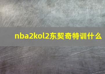 nba2kol2东契奇特训什么