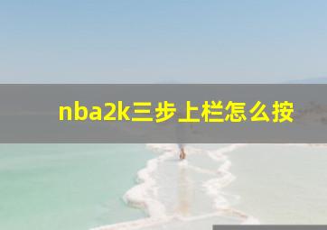 nba2k三步上栏怎么按