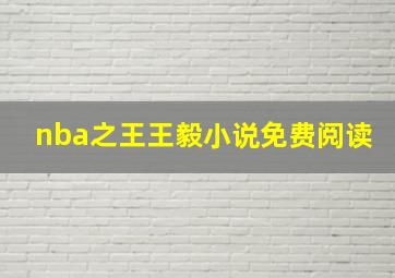 nba之王王毅小说免费阅读