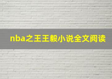 nba之王王毅小说全文阅读