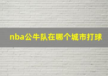 nba公牛队在哪个城市打球