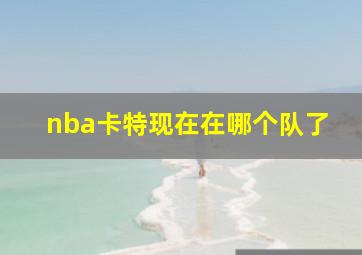 nba卡特现在在哪个队了