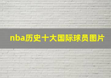 nba历史十大国际球员图片