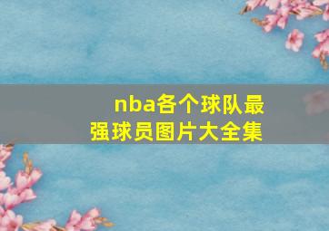 nba各个球队最强球员图片大全集