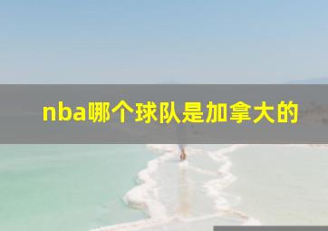 nba哪个球队是加拿大的