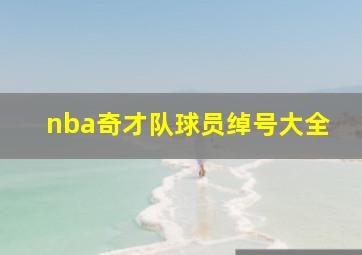 nba奇才队球员绰号大全