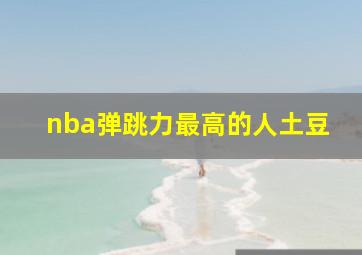 nba弹跳力最高的人土豆