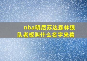 nba明尼苏达森林狼队老板叫什么名字来着