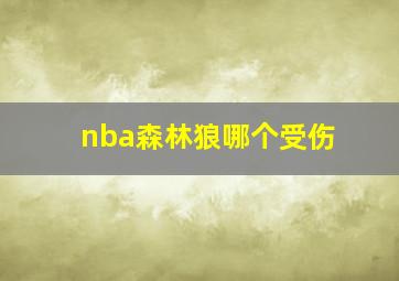 nba森林狼哪个受伤