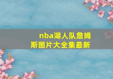 nba湖人队詹姆斯图片大全集最新