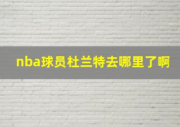 nba球员杜兰特去哪里了啊