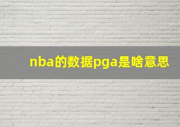 nba的数据pga是啥意思