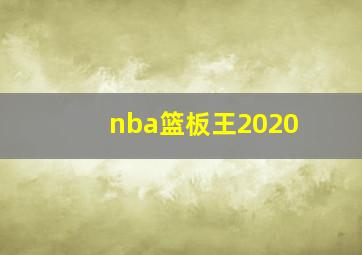 nba篮板王2020