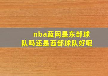 nba蓝网是东部球队吗还是西部球队好呢