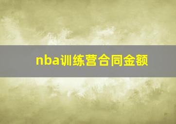 nba训练营合同金额