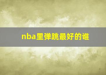 nba里弹跳最好的谁