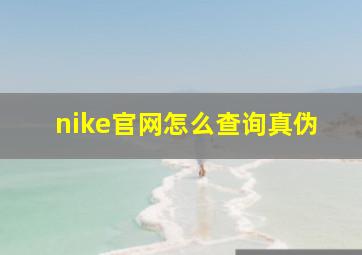 nike官网怎么查询真伪