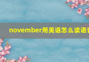 november用英语怎么读语音