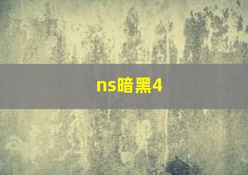 ns暗黑4