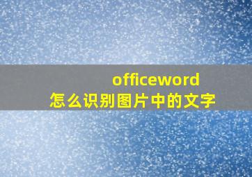 officeword怎么识别图片中的文字