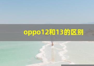 oppo12和13的区别