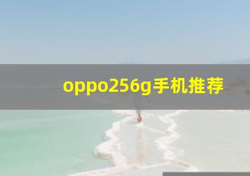 oppo256g手机推荐