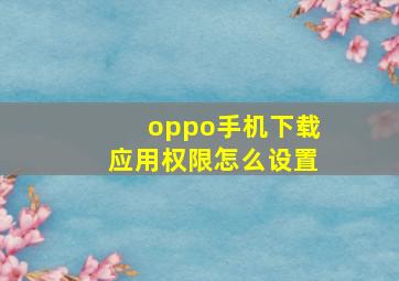 oppo手机下载应用权限怎么设置