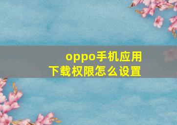 oppo手机应用下载权限怎么设置