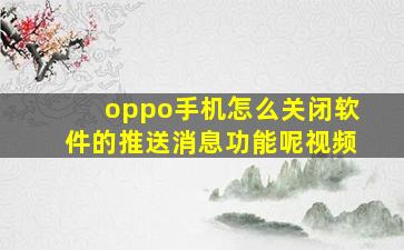 oppo手机怎么关闭软件的推送消息功能呢视频