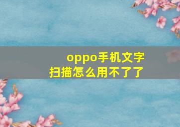 oppo手机文字扫描怎么用不了了