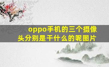 oppo手机的三个摄像头分别是干什么的呢图片