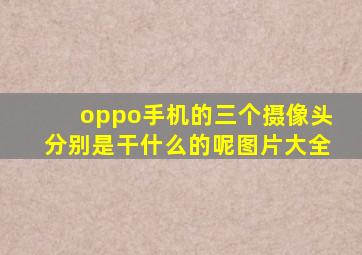 oppo手机的三个摄像头分别是干什么的呢图片大全