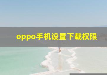 oppo手机设置下载权限