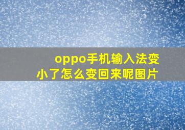 oppo手机输入法变小了怎么变回来呢图片