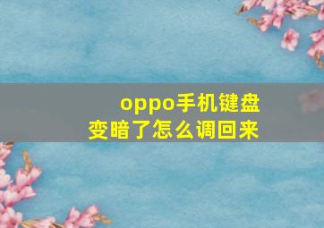 oppo手机键盘变暗了怎么调回来