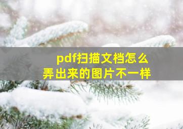 pdf扫描文档怎么弄出来的图片不一样