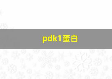 pdk1蛋白