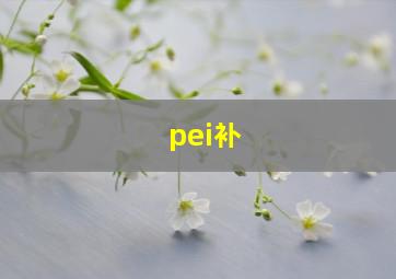 pei补