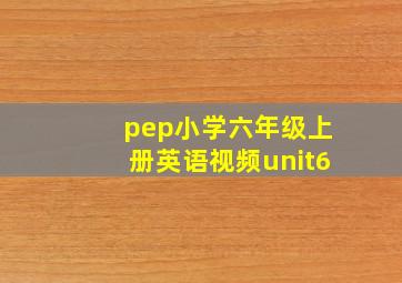 pep小学六年级上册英语视频unit6