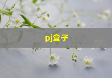 pj盒子