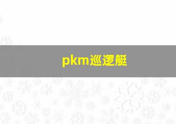 pkm巡逻艇