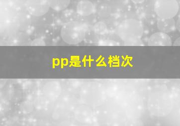 pp是什么档次