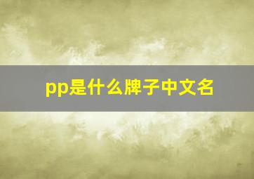 pp是什么牌子中文名